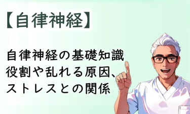 【自律神経の基礎知識】役割や乱れる原因、 ストレスとの関係について徹底解説！