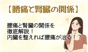 腰痛と腎臓の関係を徹底解説！内臓を整えれば腰痛が治る！？